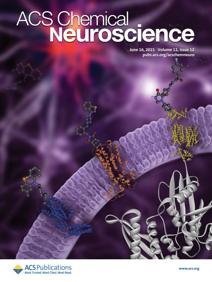 طرح روی جلد مجله ACS Chemical Neuroscience مستخرج ازمقاله دکتر راضیه حبیب پور